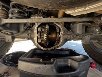 IMG_0236.jpeg IMG_0236.jpeg