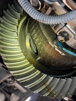 IMG_0238.jpeg IMG_0238.jpeg