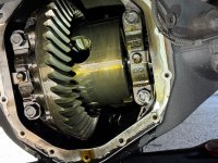 IMG_0239.jpeg IMG_0239.jpeg