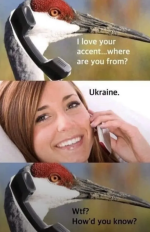 Screenshot 2025-03-27 at 18-30-44 Daily Afternoon Randomness.png