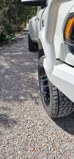 20250402_111823.jpg 20250402_111823.jpg