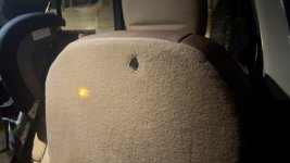 IMG_9134.jpeg IMG_9134.jpeg