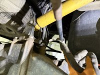 IMG_1505.jpeg IMG_1505.jpeg