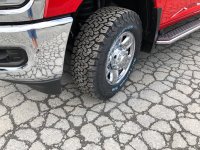 IMG_4687.jpeg