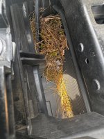 IMG_0933.jpeg