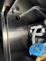 IMG_7842.jpeg IMG_7842.jpeg