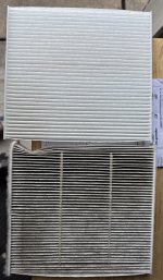 IMG_2365.jpeg IMG_2365.jpeg