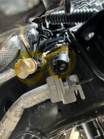 IMG_9118.jpeg IMG_9118.jpeg