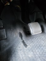 20251003_084535.jpg 20251003_084535.jpg