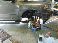 DSC02438 (Medium).JPG