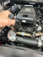 IMG_0702 (Medium).JPG