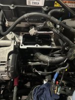 IMG_0703 (Medium).JPG