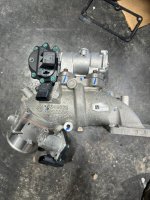 IMG_0704 (Medium).JPG