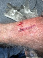 IMG_0706 (Medium).JPG