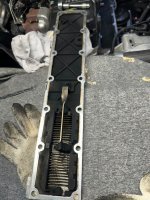 IMG_0717 (Medium).JPG