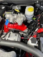 IMG_0731 (Medium).JPG