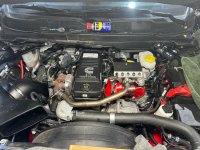 IMG_0732 (Medium).JPG