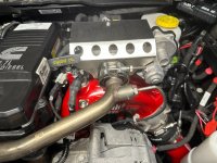 IMG_0733 (Medium).JPG