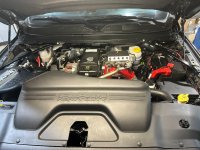 IMG_0739 (Medium).JPG