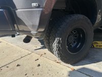 IMG_0748 (Medium).JPG