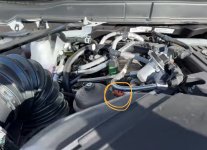 IMG_4723.jpeg IMG_4723.jpeg