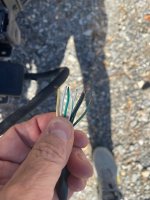 IMG_8472.jpeg IMG_8472.jpeg