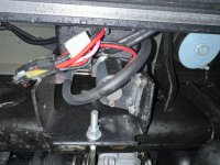 IMG_0873 (Medium).JPG