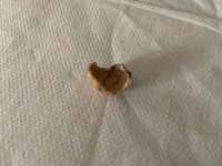 IMG_3871.jpeg IMG_3871.jpeg