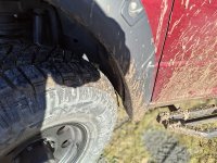 20260125_141638.jpg 20260125_141638.jpg