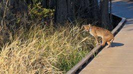 RC 26-104.jpg RC 26-104.jpg