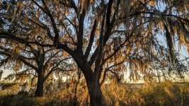 RC 26-120.jpg RC 26-120.jpg