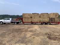 1772287259584.jpeg 1772287259584.jpeg