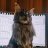 Alexey_sar