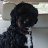 Bryced_d